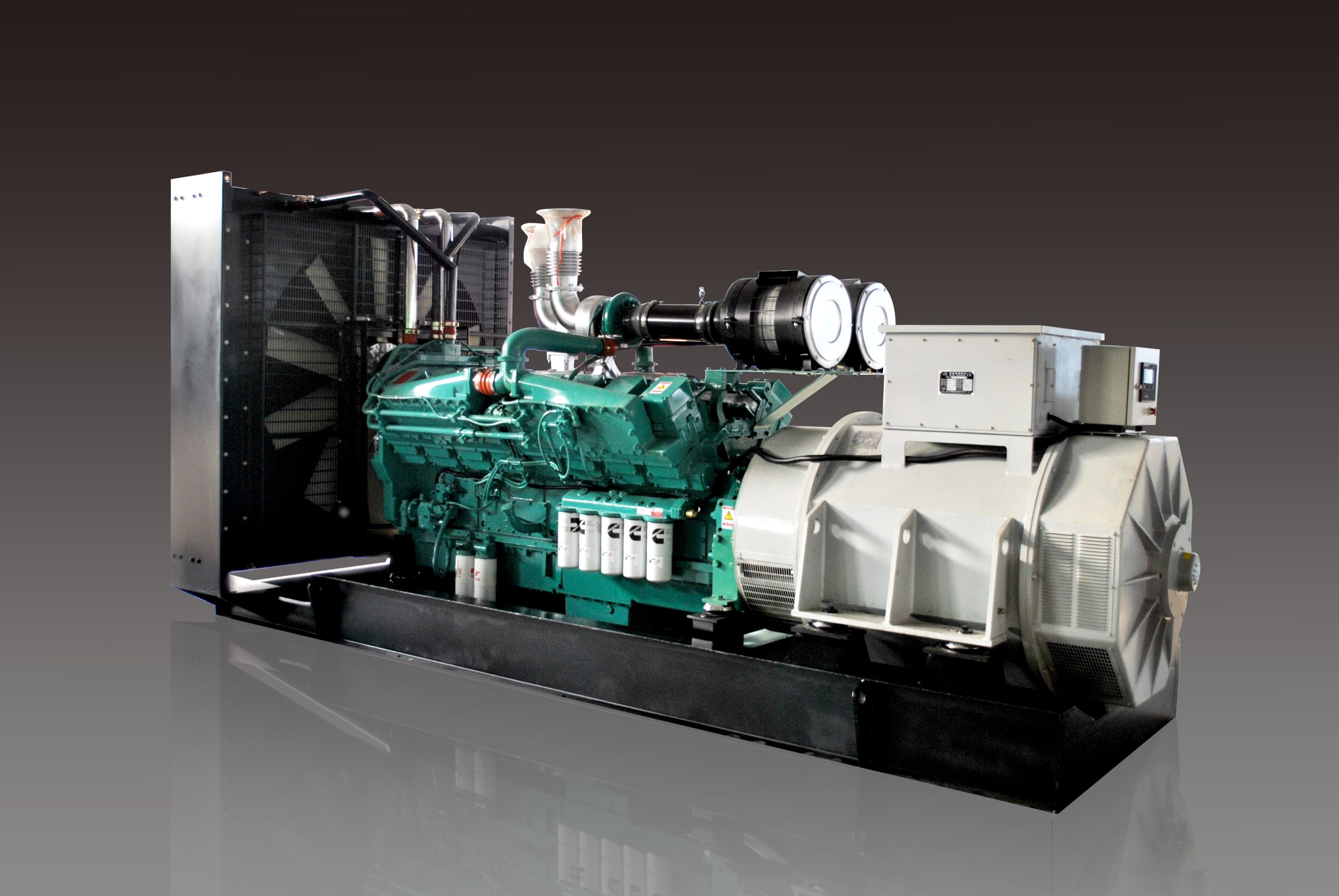 Cummins Diesel Generator - HYDL